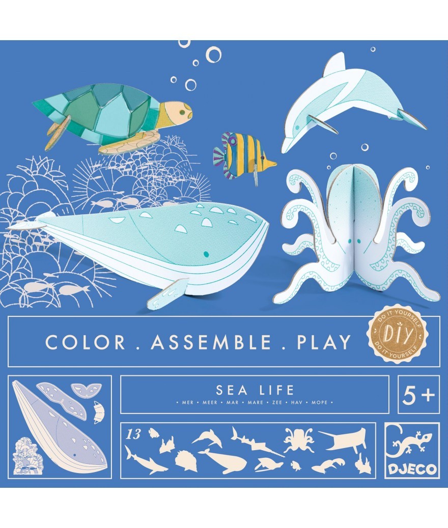Beschrijving Zeeziekte Huisje 3-D dieren, DIY kleurplaat - 13 Zeedieren - Sfinx Spellen